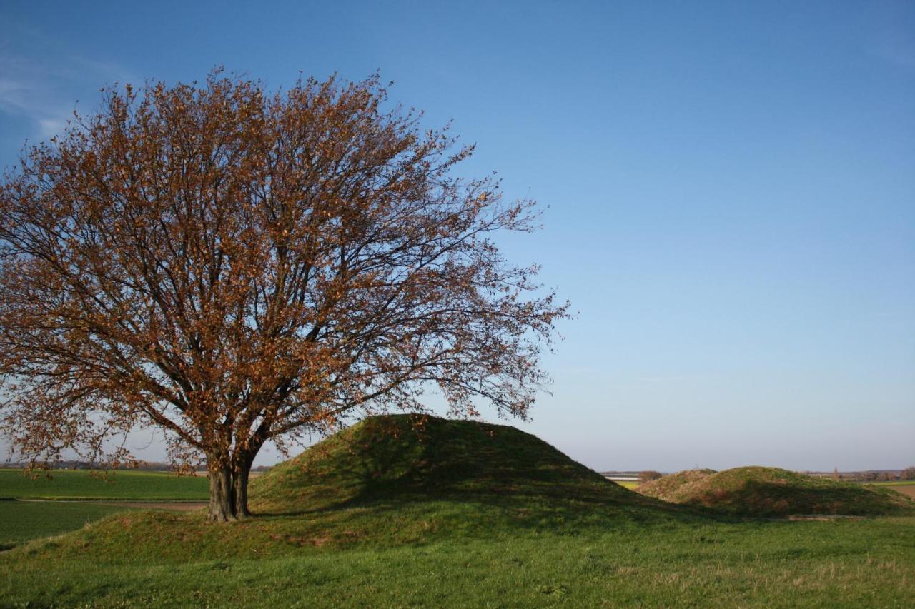 Hoeve Jadoul Gingelom ภายนอก รูปภาพ