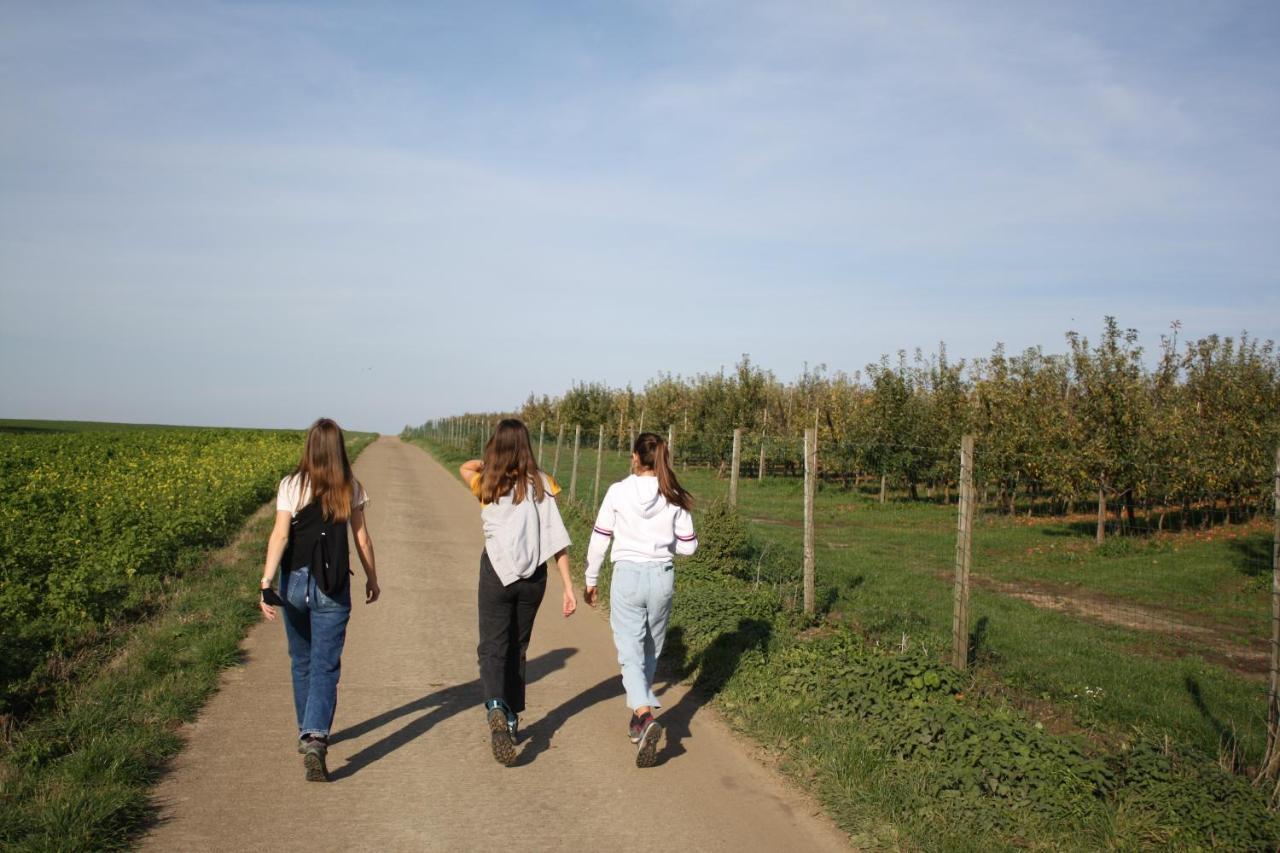Hoeve Jadoul Gingelom ภายนอก รูปภาพ