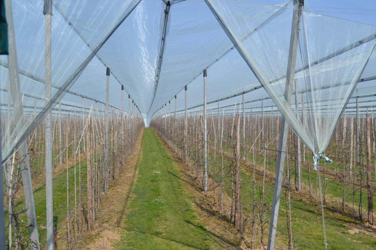 Hoeve Jadoul Gingelom ภายนอก รูปภาพ